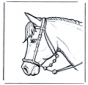 Cabeza de caballo 2