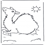Animales - Camello