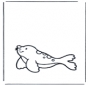 Foca