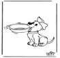 Hond