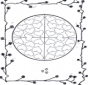 Mandala de San Valentín