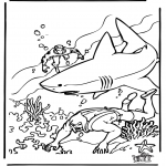 Diversos - Buceador y tiburón
