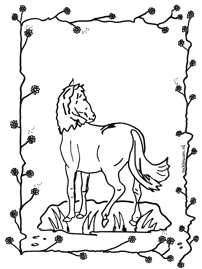 Caballo 2 - Caballos