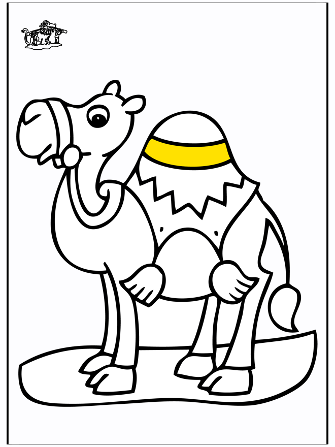 Camello 2 - Zoológico