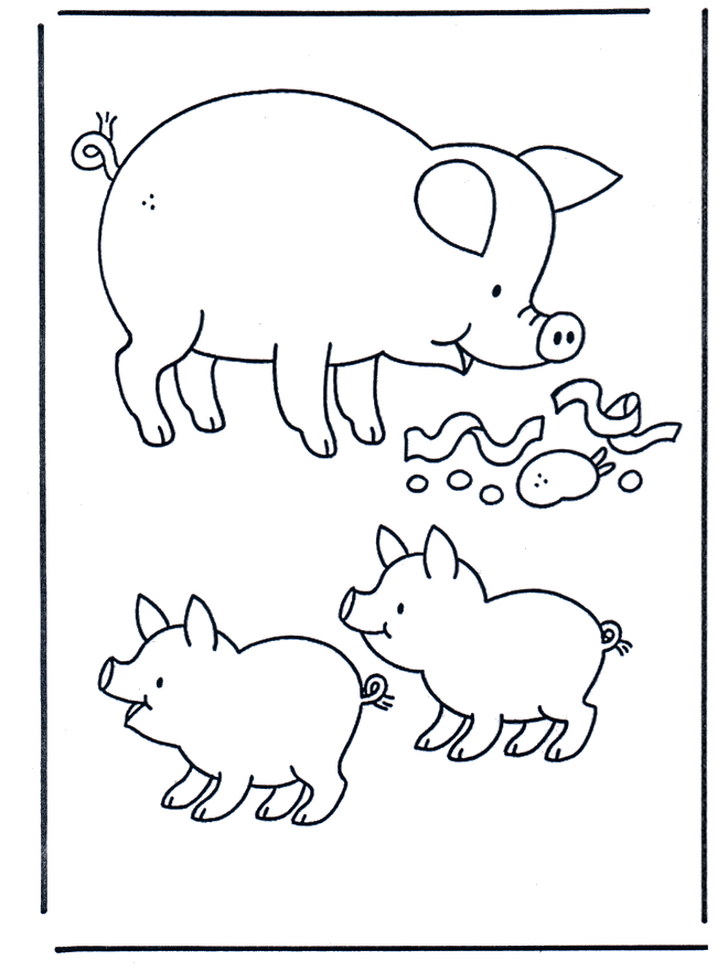 Cerdo - Animales domésticos y de granja