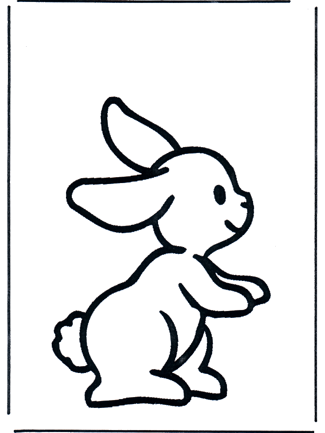 Conejo 1 - Roedores