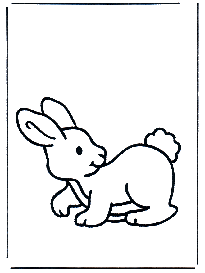 Conejo 2 - Roedores