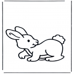 Animales - Conejo 2