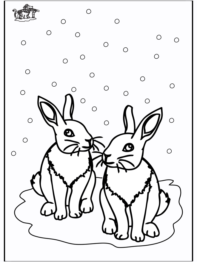 Conejos - Animales invernales