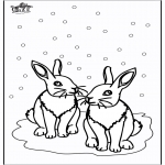 Invierno - Conejos