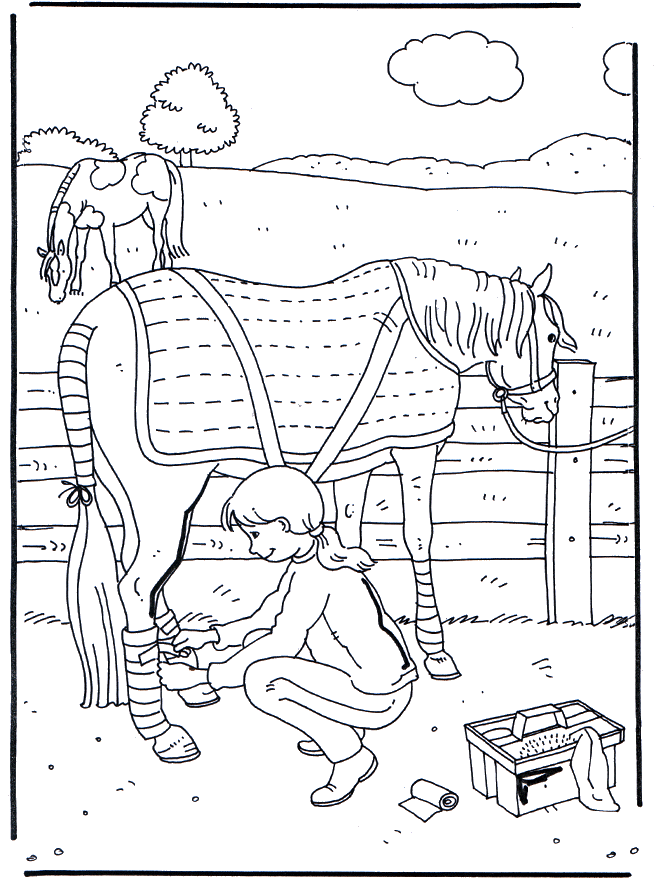 Cuidando del caballo 1 - Caballos