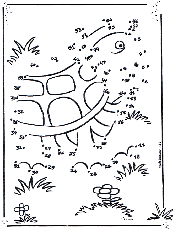 Dibuja la tortuga - Une los números