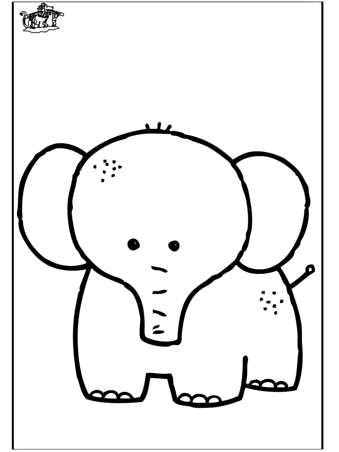Elefante 7 - Zoológico