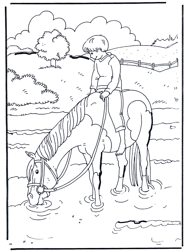 En el agua - Caballos