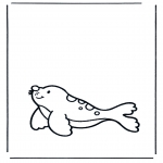 Animales - Foca 1