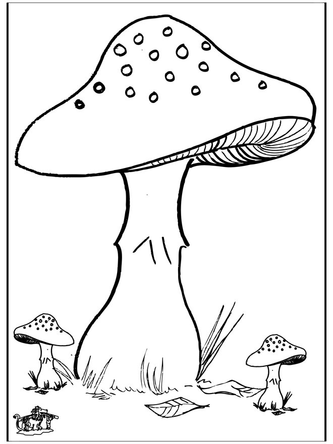 Fungi 3 - Otoño