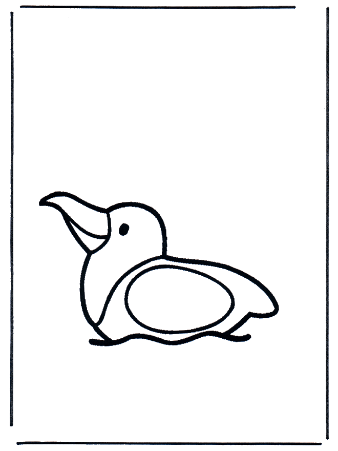Gaviota en el agua - Pájaros