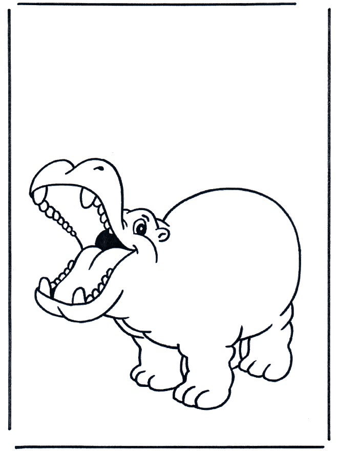 Hipopótamo contento - Zoológico