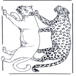 Animales - León y leopardo