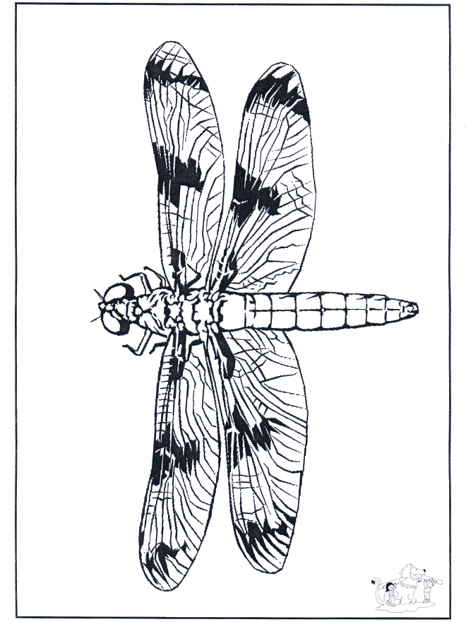 Libélula 2 - Insectos