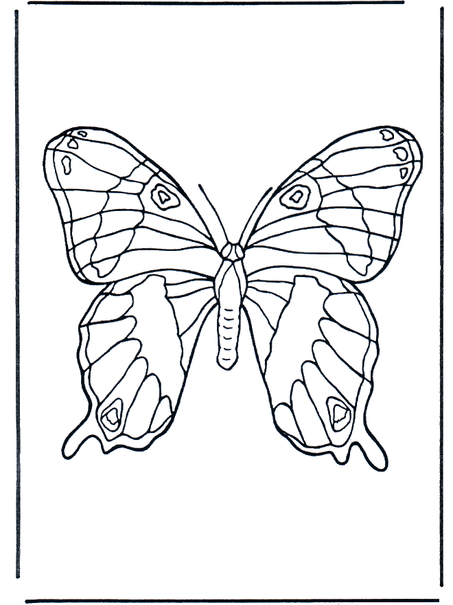 Mariposa 1 - Insectos