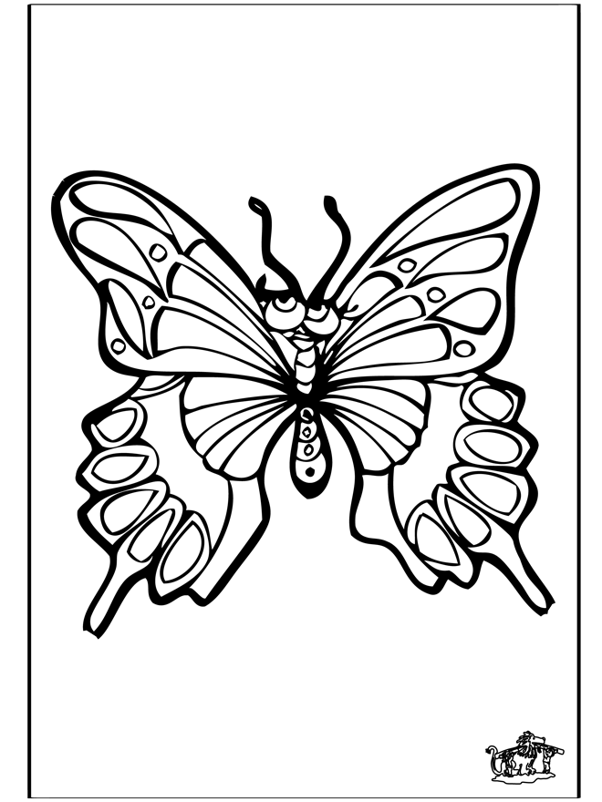 Mariposa 4 - Insectos