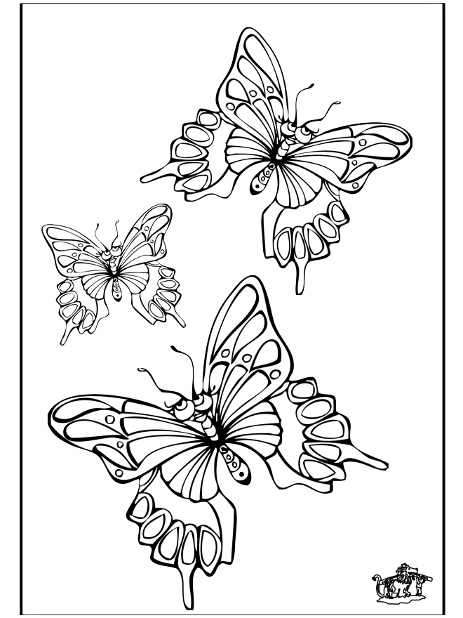 Mariposa 5 - Insectos