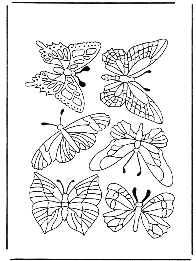 Mariposas 1 - Insectos