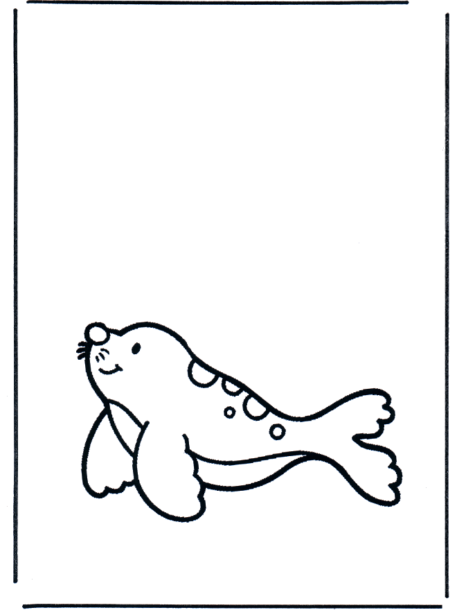 Pequeña foca - Animales