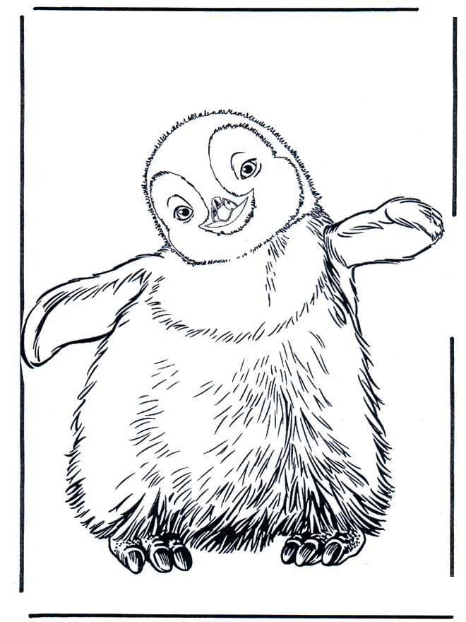 Pingüino 3 - Zoológico