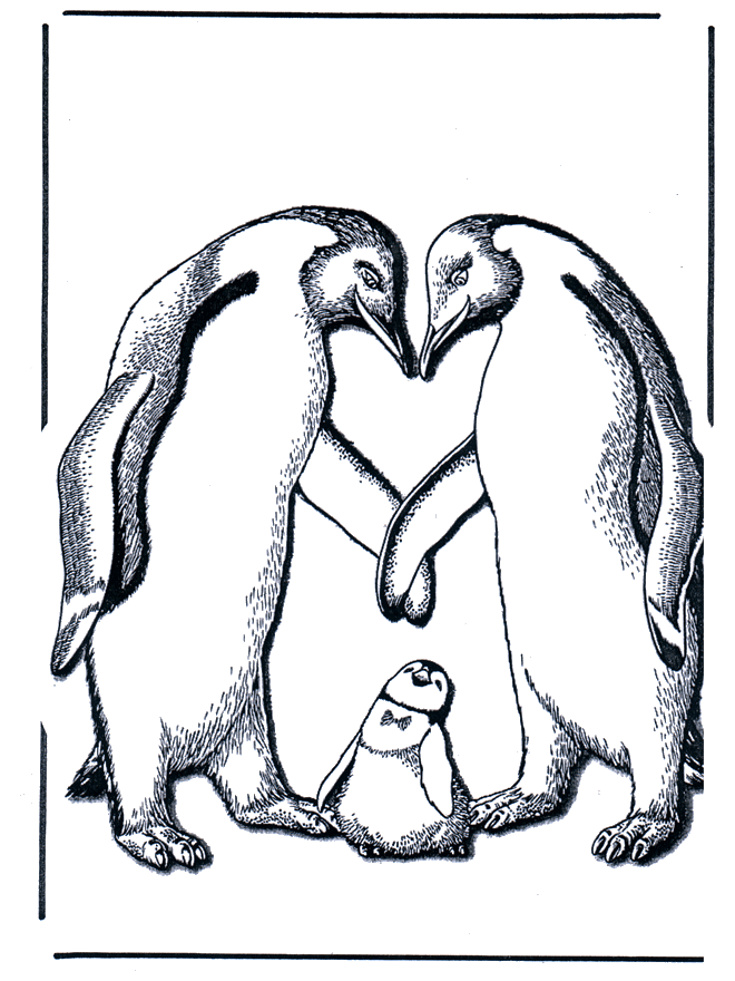 Pingüinos y cría - Zoológico