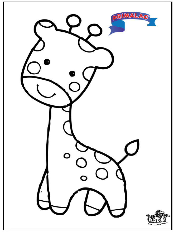 Primalac giraffe - Zoológico