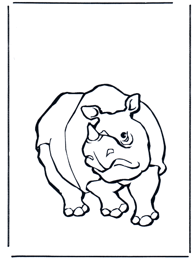 Rinoceronte 1 - Zoológico