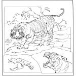 Animales - Tigre 3