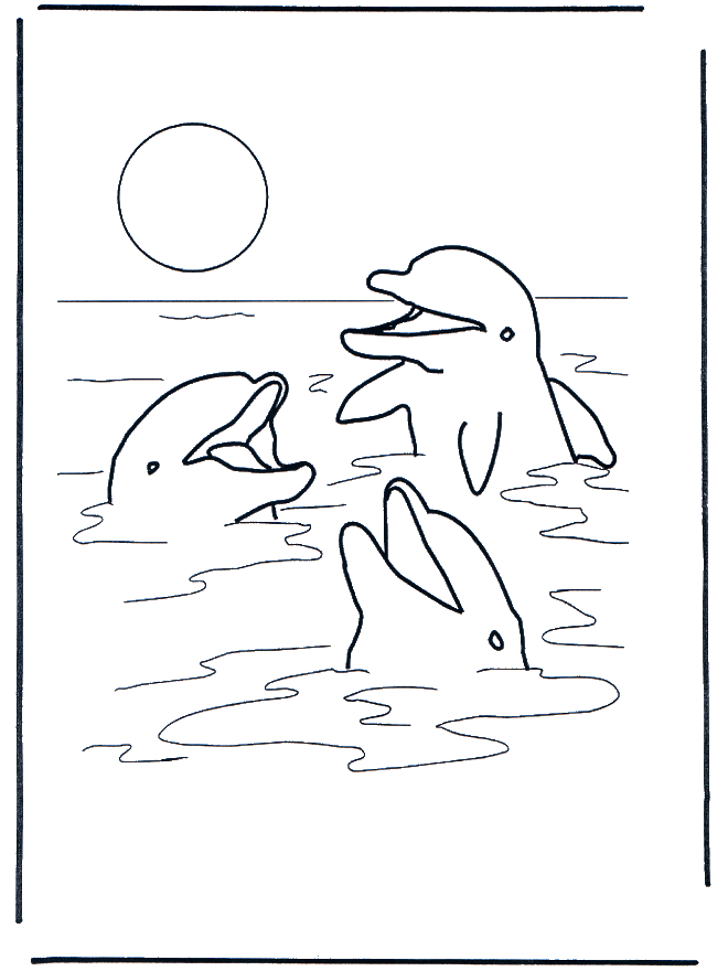 Tres delfines - Animales acuáticos