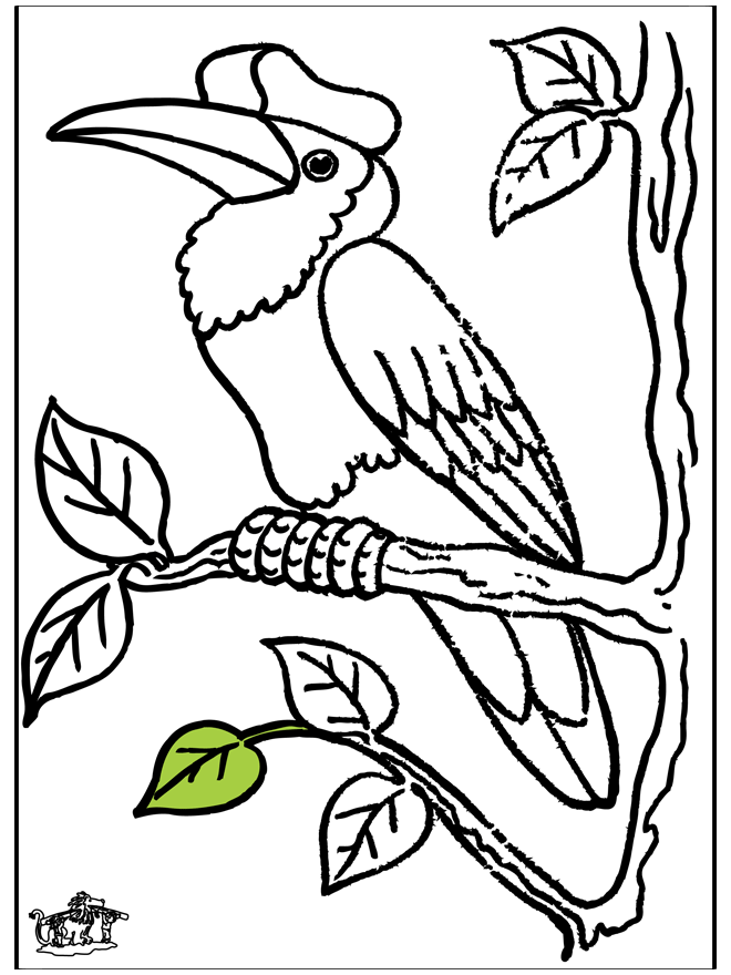 Tucán - Pájaros