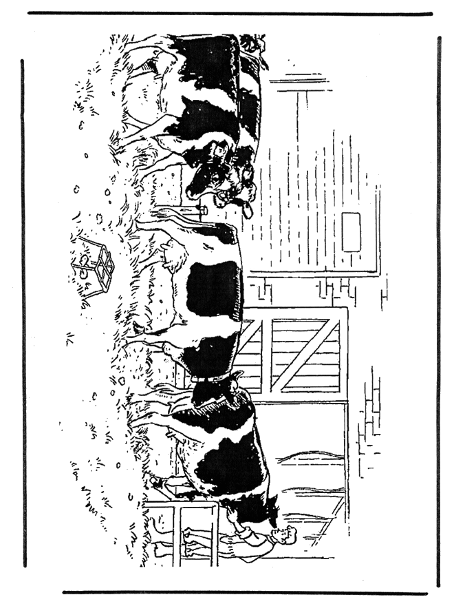 Vacas - Animales domésticos y de granja